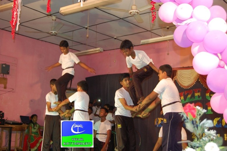 mmv (4)