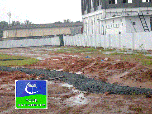 ground (3)