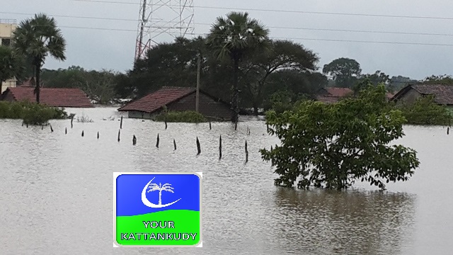 mannar