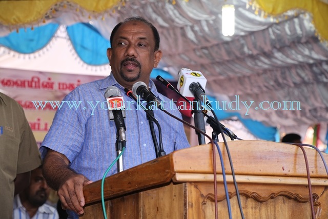 ameer ali