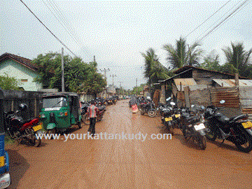 Farm-Road-Aarppaattam-1
