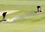cricket (2)