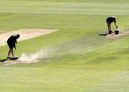 cricket (2)