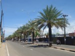 kattankudy dates (3)