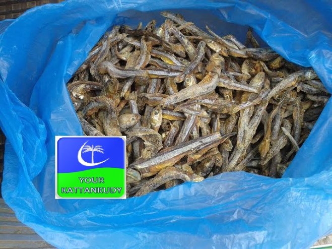 nettali anchovi