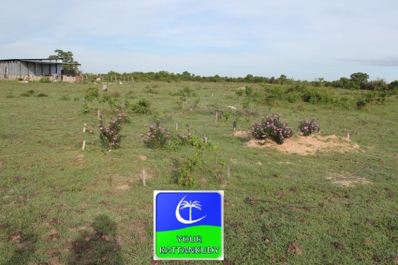 cemetery rithithanna
