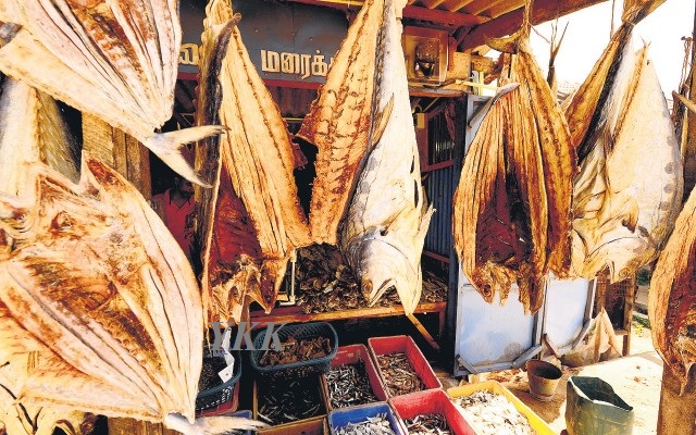 dried fish karuvadu