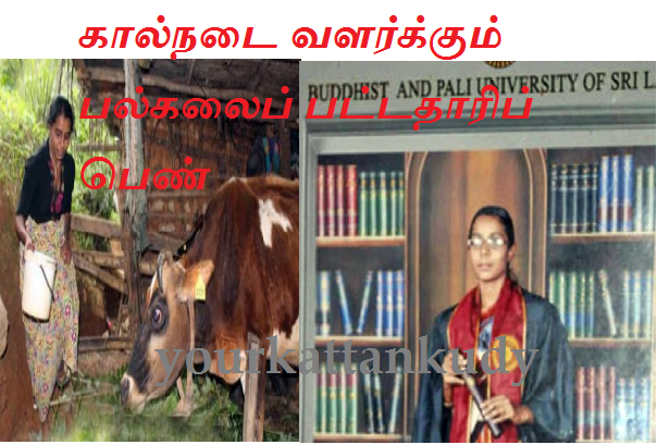 galaha-jpg-1-jpg-farm