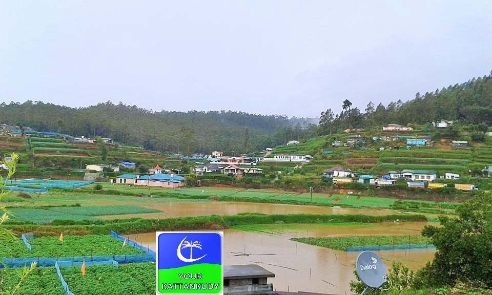 nuwaraeliya.jpg1
